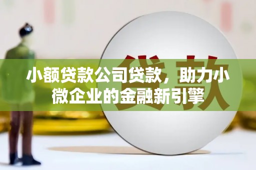 麟洛小额贷款公司贷款，助力小微企业的金融新引擎