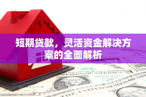 麟洛短期贷款，灵活资金解决方案的全面解析