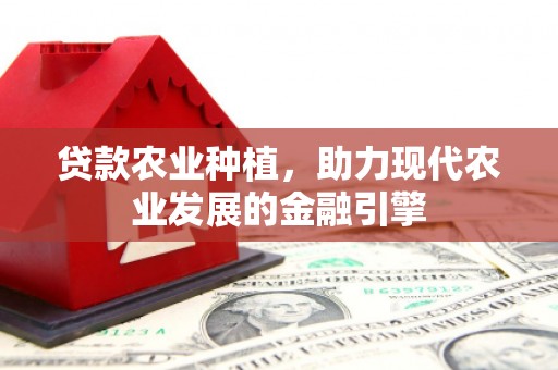 麟洛贷款农业种植，助力现代农业发展的金融引擎