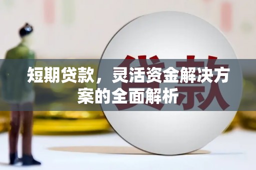 麟洛短期贷款，灵活资金解决方案的全面解析