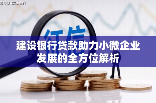 麟洛建设银行贷款助力小微企业发展的全方位解析