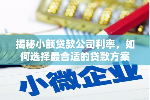 麟洛揭秘小额贷款公司利率，如何选择最合适的贷款方案