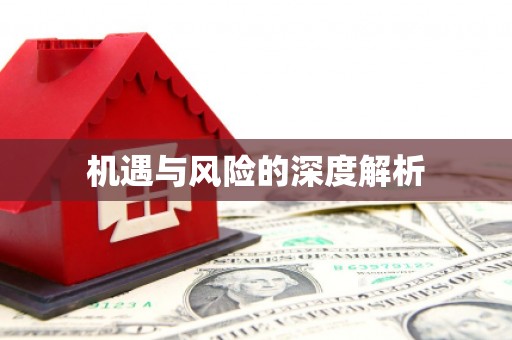 麟洛机遇与风险的深度解析