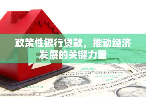 麟洛政策性银行贷款，推动经济发展的关键力量