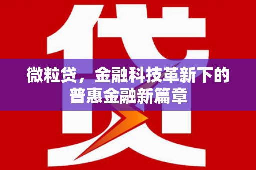 麟洛微粒贷，金融科技革新下的普惠金融新篇章