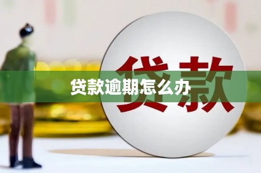 麟洛贷款逾期怎么办