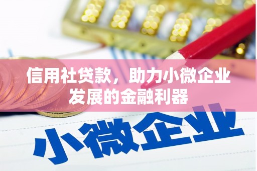 麟洛信用社贷款，助力小微企业发展的金融利器