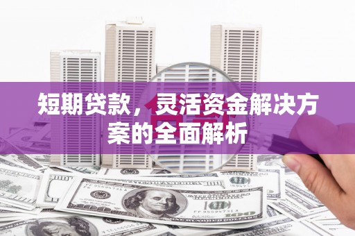 麟洛短期贷款，灵活资金解决方案的全面解析