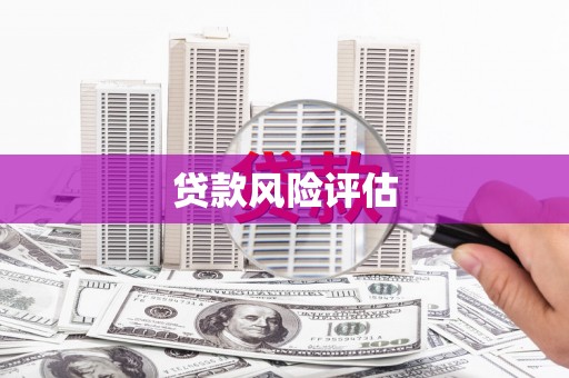 麟洛贷款风险评估