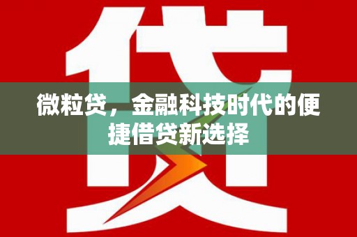 麟洛微粒贷，金融科技时代的便捷借贷新选择