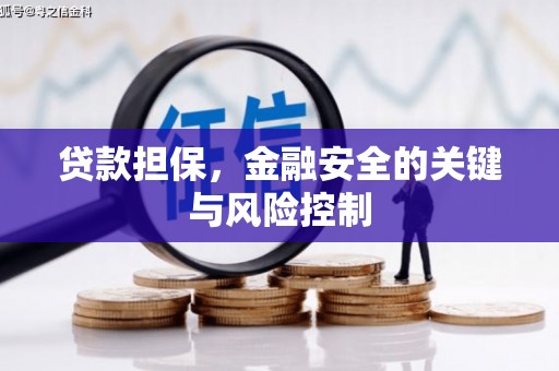 麟洛贷款担保，金融安全的关键与风险控制