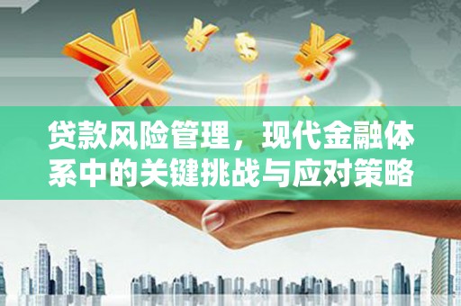 麟洛贷款风险管理，现代金融体系中的关键挑战与应对策略