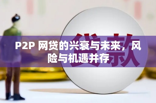 麟洛P2P 网贷的兴衰与未来，风险与机遇并存