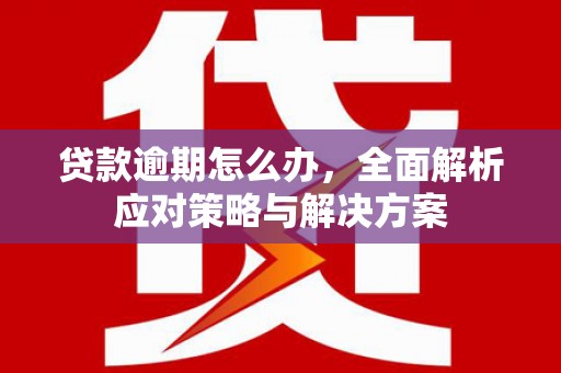 麟洛贷款逾期怎么办，全面解析应对策略与解决方案