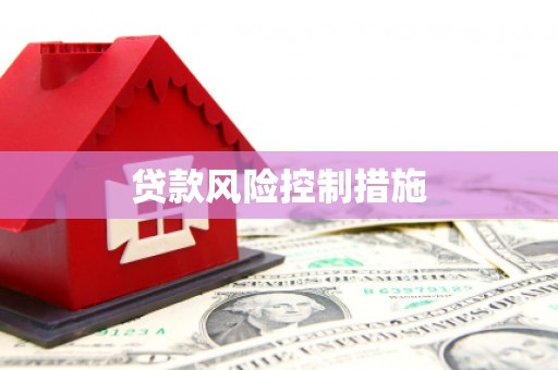 麟洛贷款风险控制措施