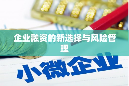 麟洛企业融资的新选择与风险管理