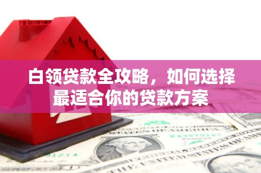 麟洛白领贷款全攻略，如何选择最适合你的贷款方案